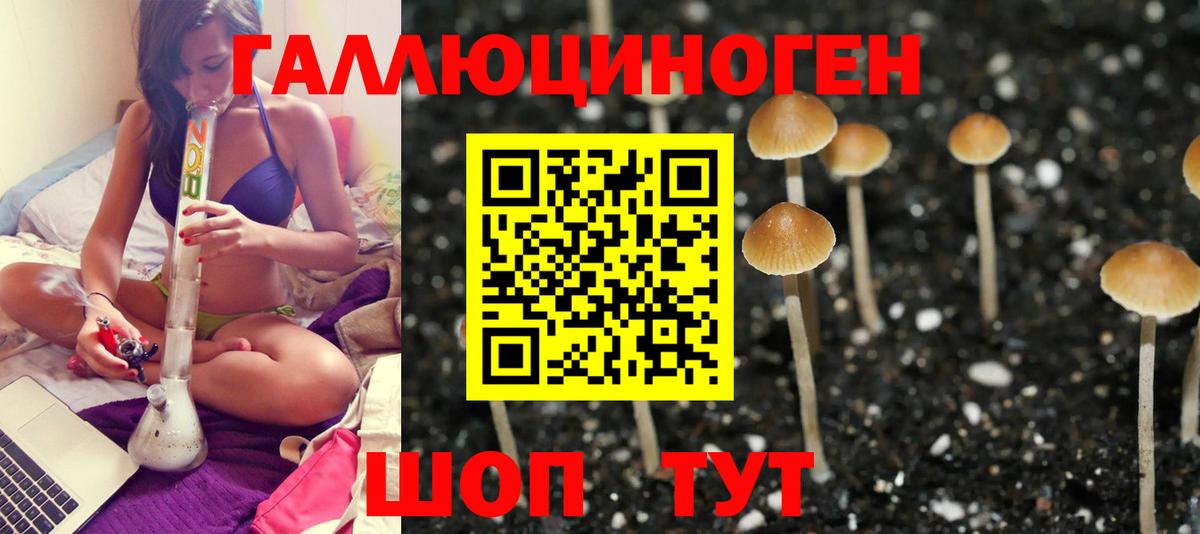 Галлюциногенные грибы GOLDEN TEACHER Невинномысск